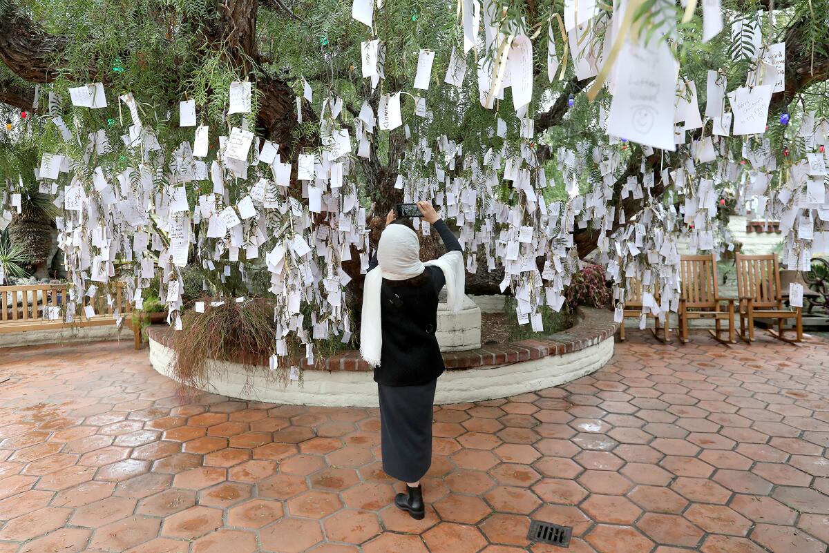 A visitor looks for a place to hang her message to the Wishing Tree at the Sherman Library & Gardens.