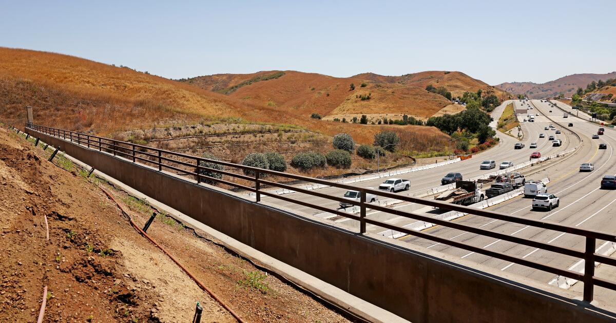 Agoura Hills Wildlife Crossing Partial Enclosure Preparation Agoura Hills Wildlife Crossing Partial Enclosure Preparation