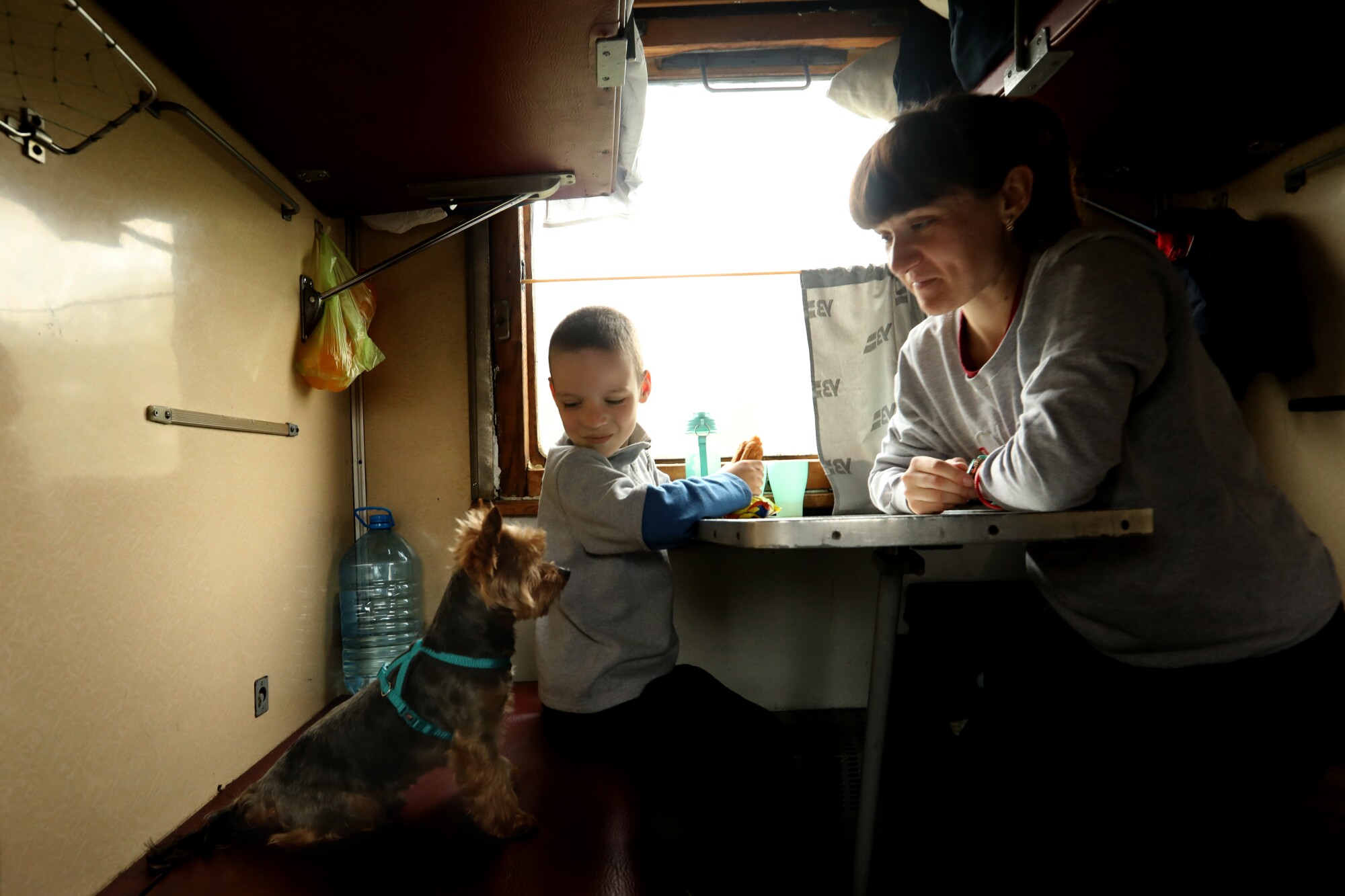 A woman and a boy, in the center, sitting by the window of a train look at a dog on the left 