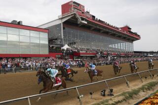 National Treasure leads a pack of horses toward the first turn during the148th running of the Preakness Stakes 