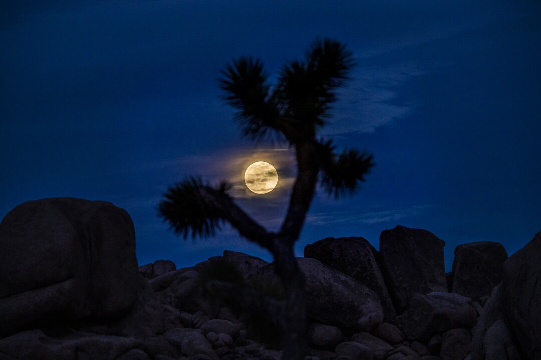 May 25: Clouds surround the supermoon as seen from Joshua Tree National Park.