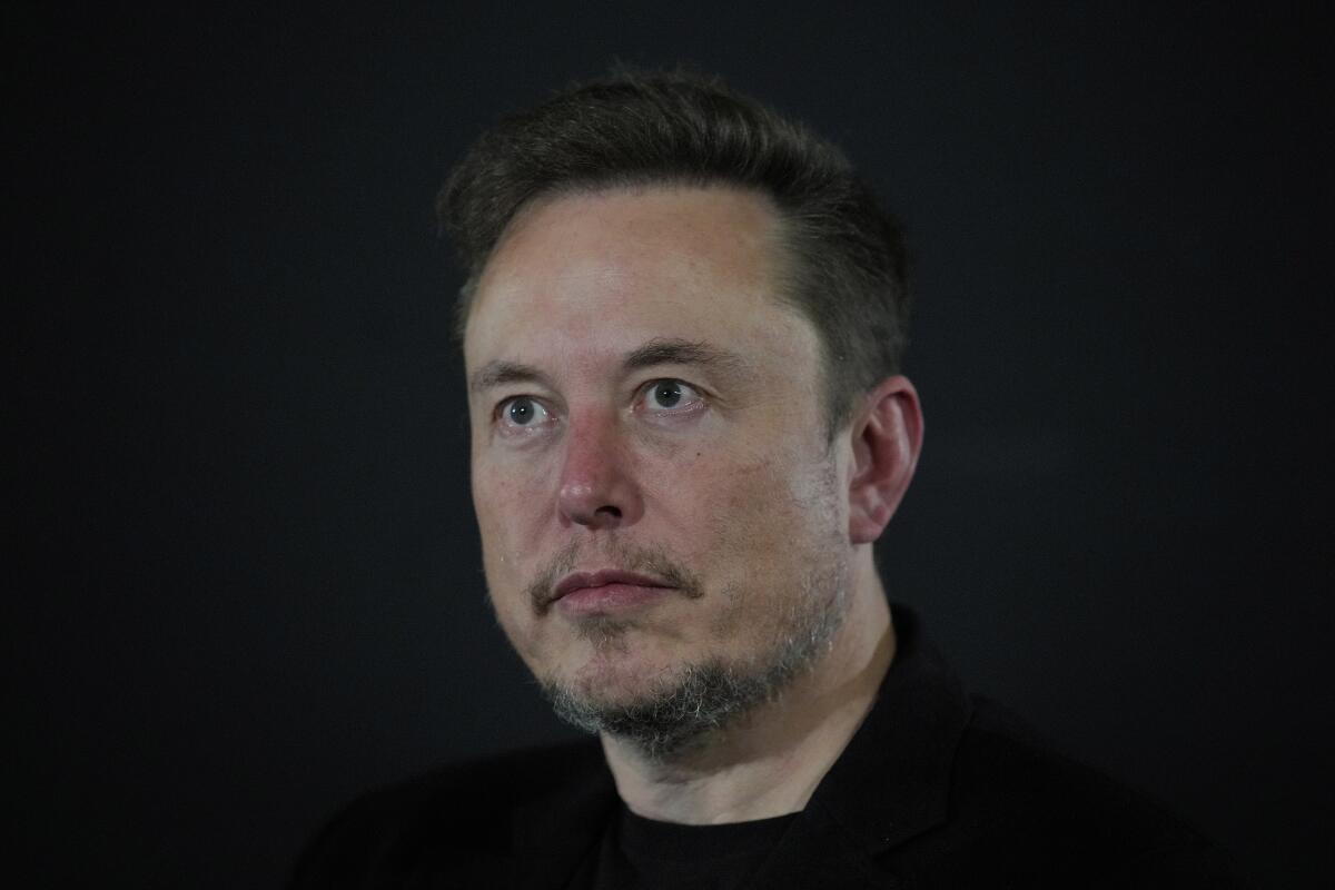 Elon Musk in November 2023.