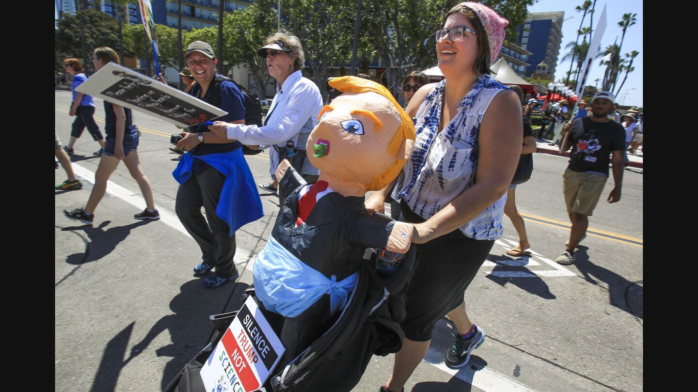 Mercedes Alcoser pushes a stroller with a Trump piñata wearing a diaper as she and others participating in the March for Science arrive at the County Administration Building.