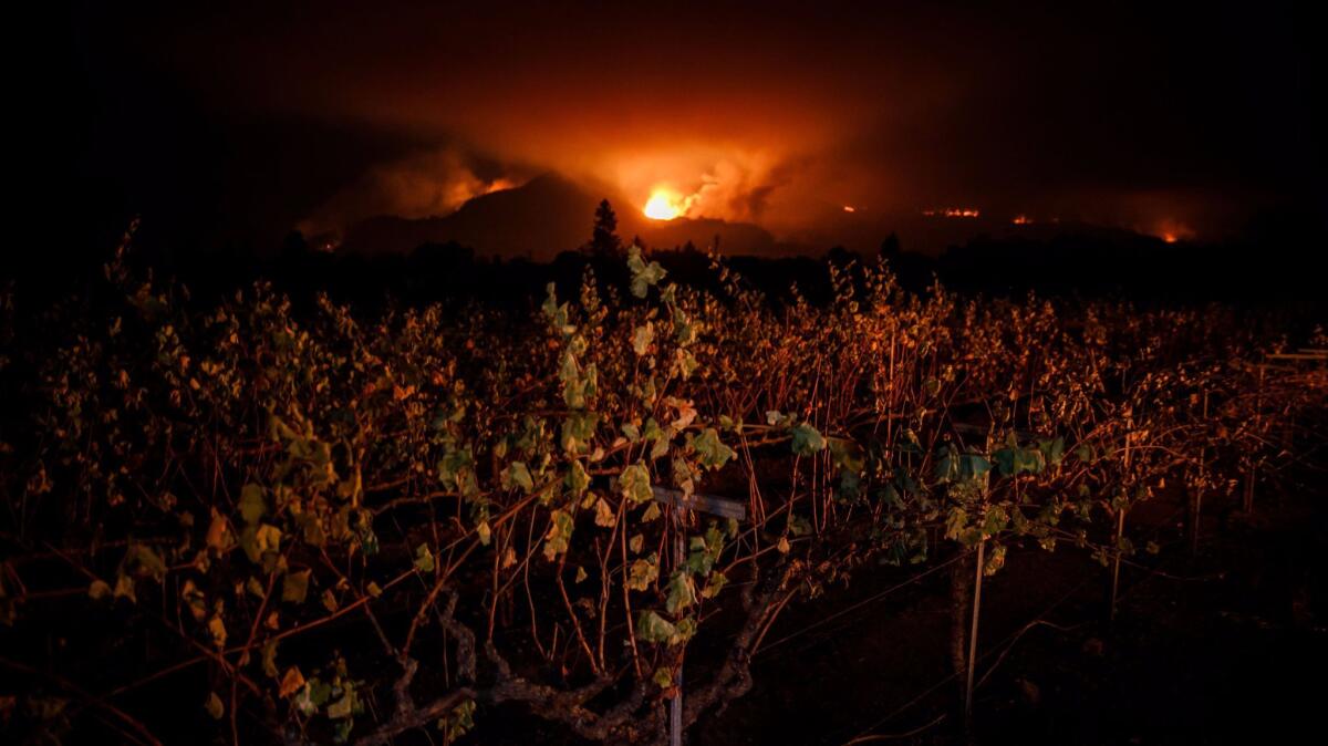 A nearby fire lights up the night sky as wildfire continues to rage in Wine Country.