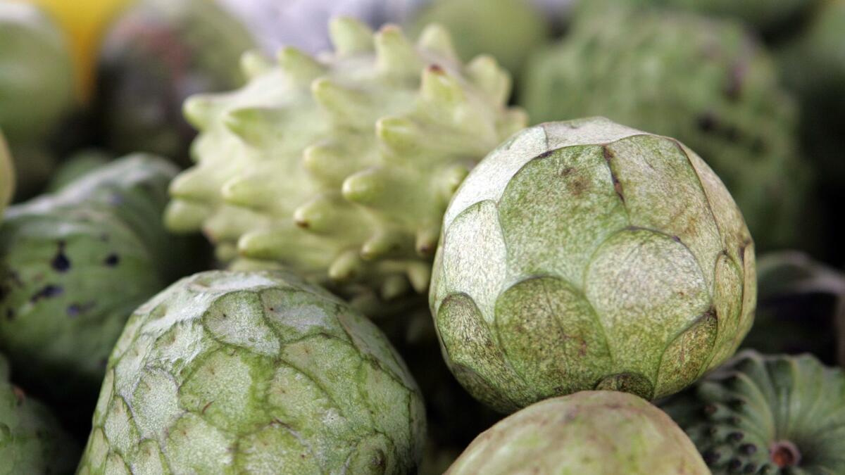 California is the only state where the bumpy-but-delicious cherimoya fruit is grown commercially. Find out more about how to grow your own at the California Rare Fruit Growers of Los Angeles meeting Feb. 23.