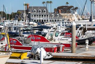 Oceanside harbor police boats sit idle at their docks near their headquarters along North Harbor Drive on Wednesday. There is a proposal to change the way marine safety services operate at the harbor. N photo by Don Boomer