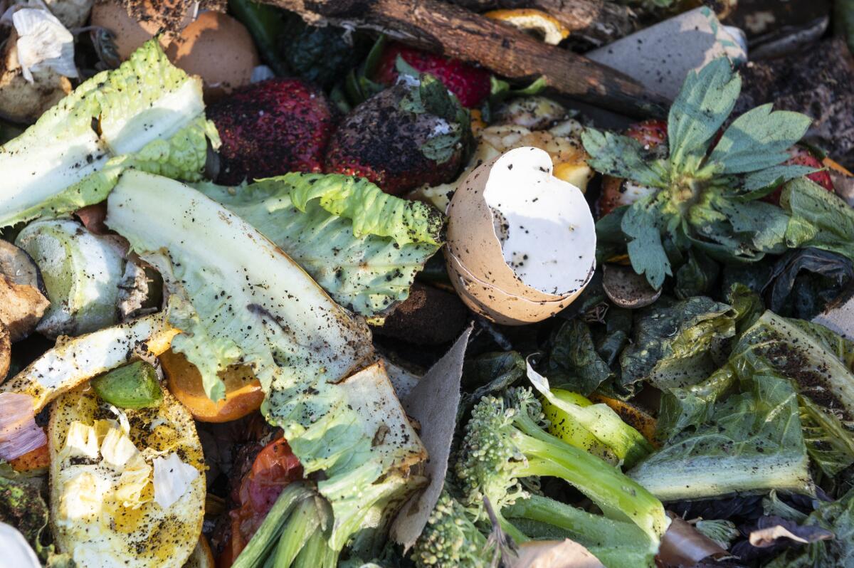 Food scraps that include lettuce, egg shells, strawberries, and broccoli. 