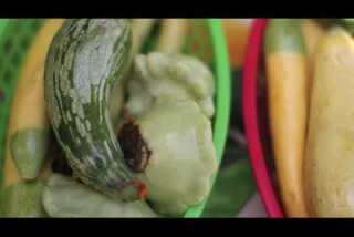 Market Fresh: Zucchinis