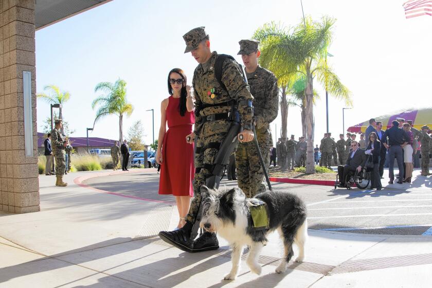 Marine Capt. Derek Herrera, shown with his wife, Maura, and his service dog, Shaggy, was paralyzed in 2012. The ReWalk device enabled him to walk forward to accept the Bronze Star at a 2014 ceremony at Camp Pendleton.