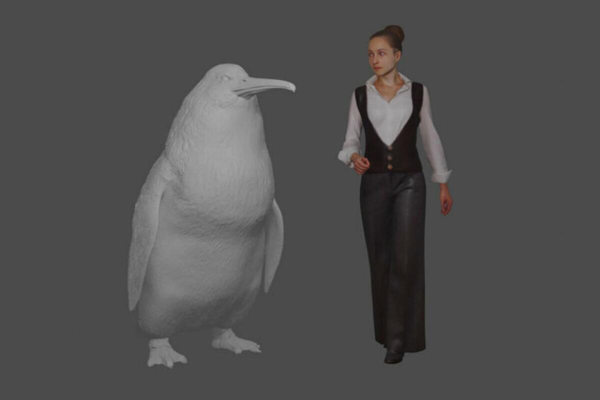 An illustration shows the approximate height of a giant penguin next to a human being.