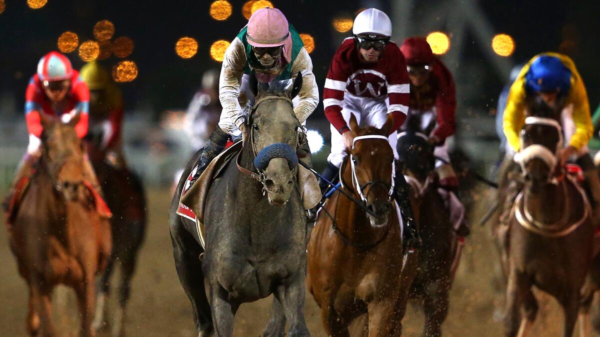 Jockey Mike Smith guides Arrogate toward the finish line in the Dubai World Cup on Saturday. (Francois Nel / Getty Images)