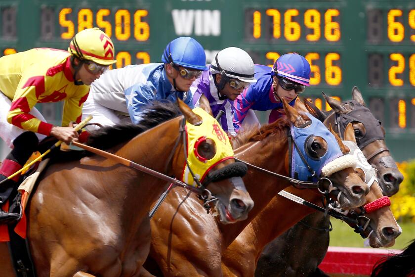 Horses and jockeys charge down the track at Los Alamitos.