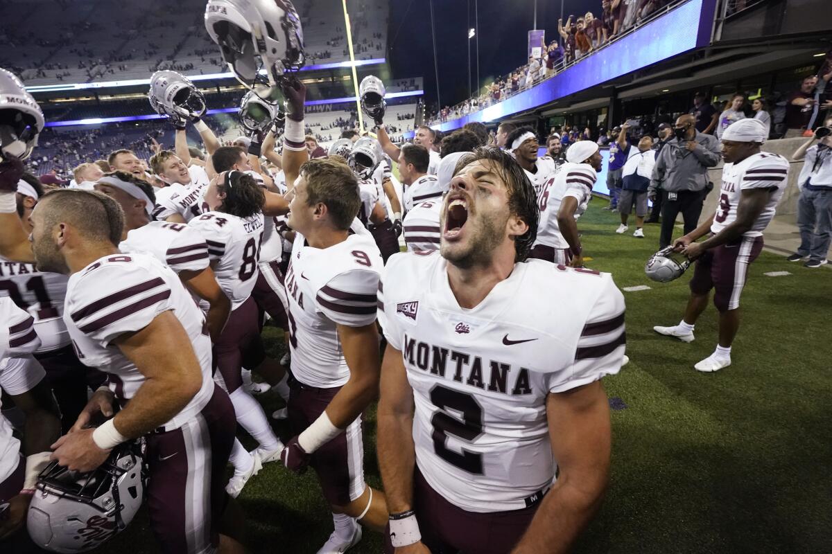 Montana quarterback Cam Humphrey lets out a yell as he celebrates with teammates after they beat Washington on Sept. 4, 2021.