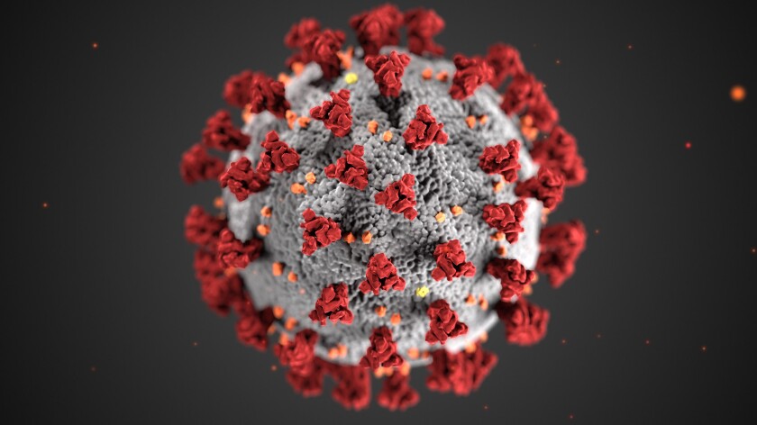 A SARS-CoV-2019 viral particle