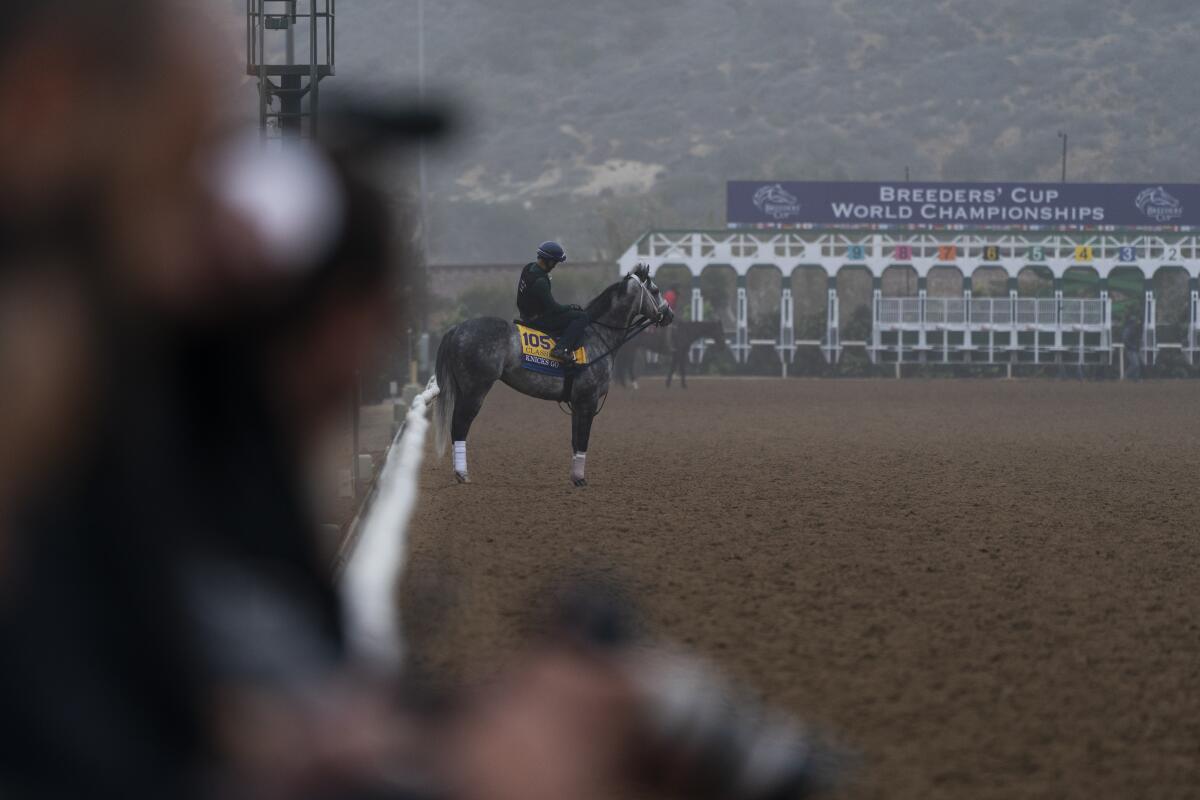 Knicks Go, ridden by an exercise rider, stands on a track during morning workouts at Del Mar racetrack.