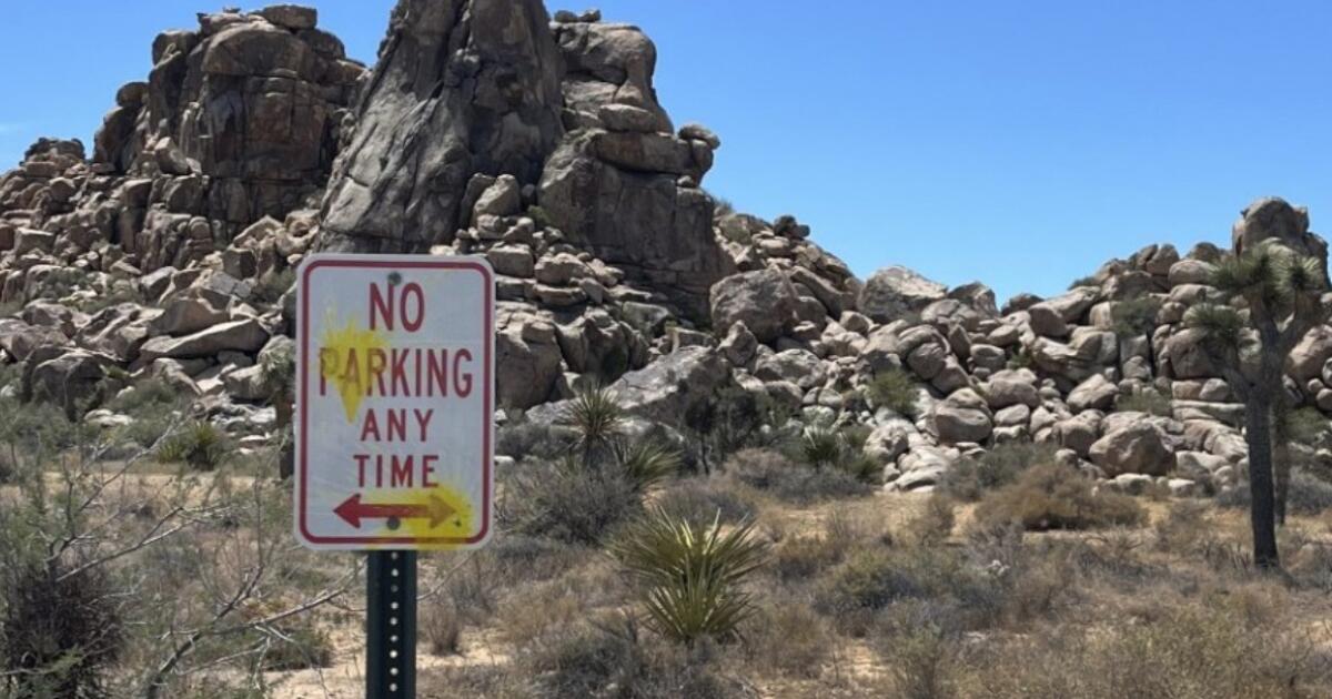 German vacationers spray Joshua Tree with paintballs, authorities say