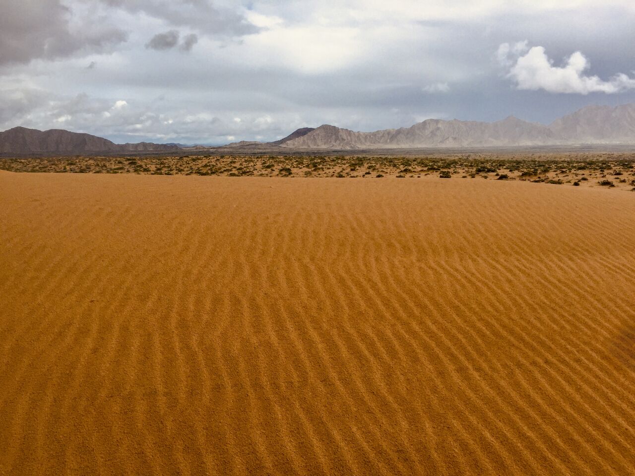 Rippling sand dunes are part of the Gran Desierto de Altar, a UNESCO Biosphere Reserve.