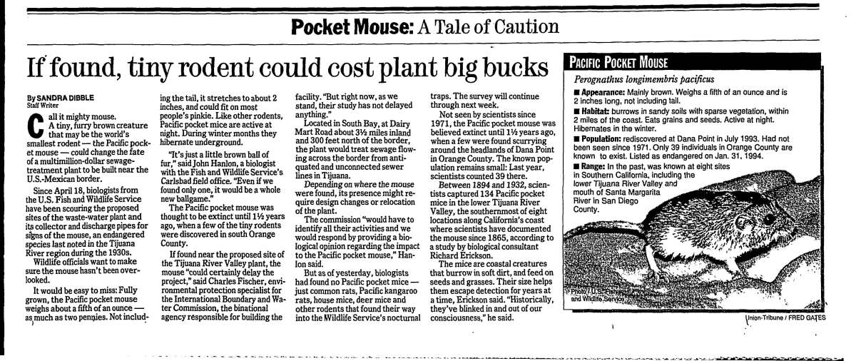 "If found, tiny rodent could cost plant big bucks" article  