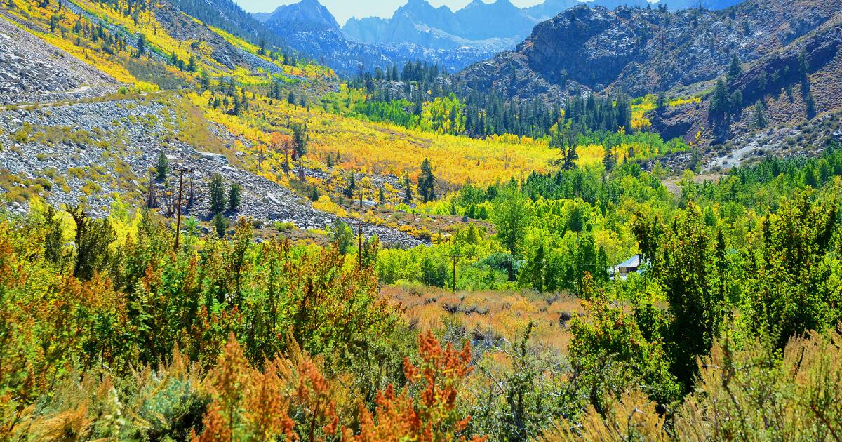 California 5 places to see Eastern Sierra's fall colors right now