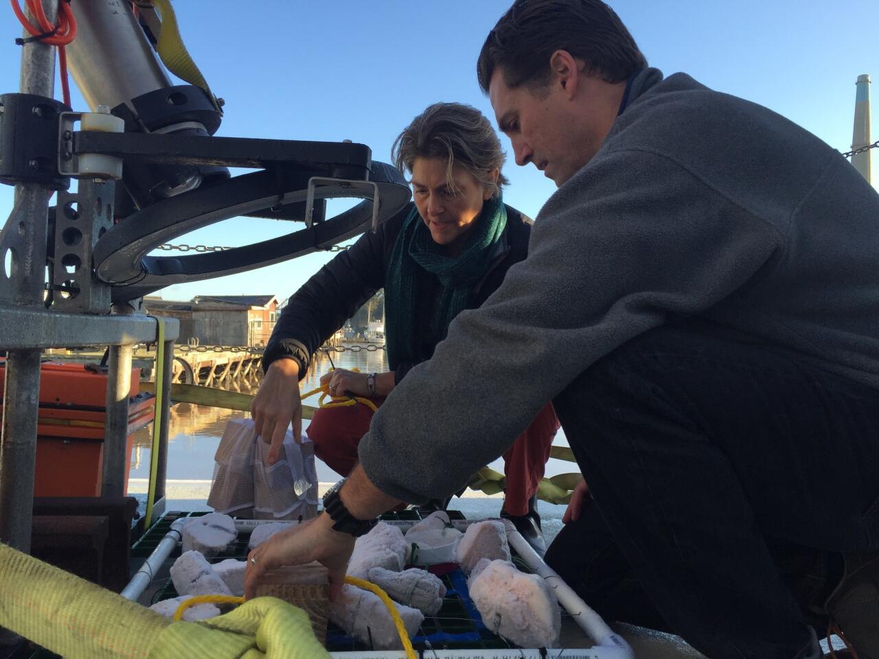 Shana Goffredi of Occidental College and Lonny Lundsten of the Monterey Bay Aquarium Research Institute attach bait to a grid sitting under a camera. The whole apparatus will be sent deep into Monterey Canyon off the California coast.