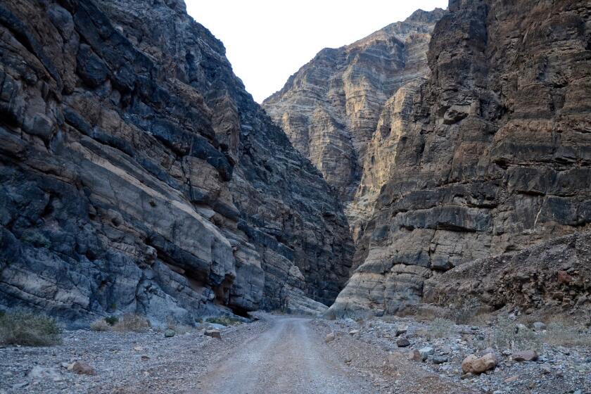 Roads don't get much more rugged than Death Valley's Titus Canyon Road, which features several tight squeezes in narrow canyons and several dramatic switchbacks as well.