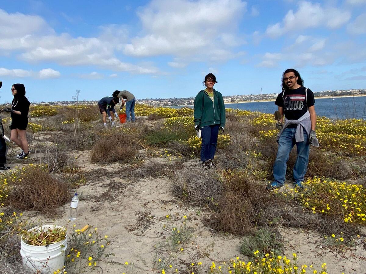 During this work party , participants were able to weed out invasive devil thorns plants.