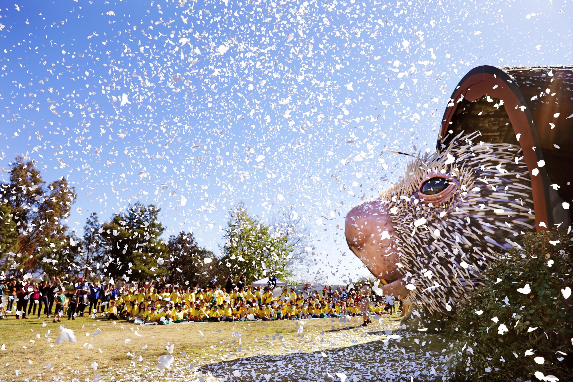 Schoolchildren witness the unveiling of Percy the Porcupine, the world's largest puppet, on March 1, 2022.