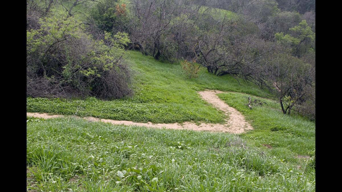 From the bench, stay right as the trail continues down a series of zigzag switchbacks. This trail will meet the one you came in on.