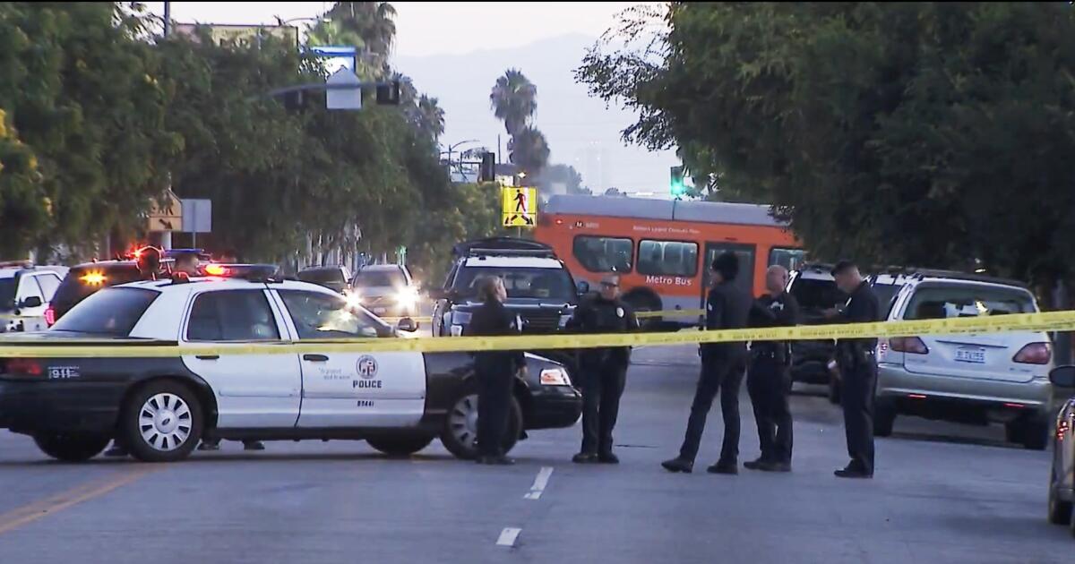 Man discovered lifeless at scene of single-car crash in South LA