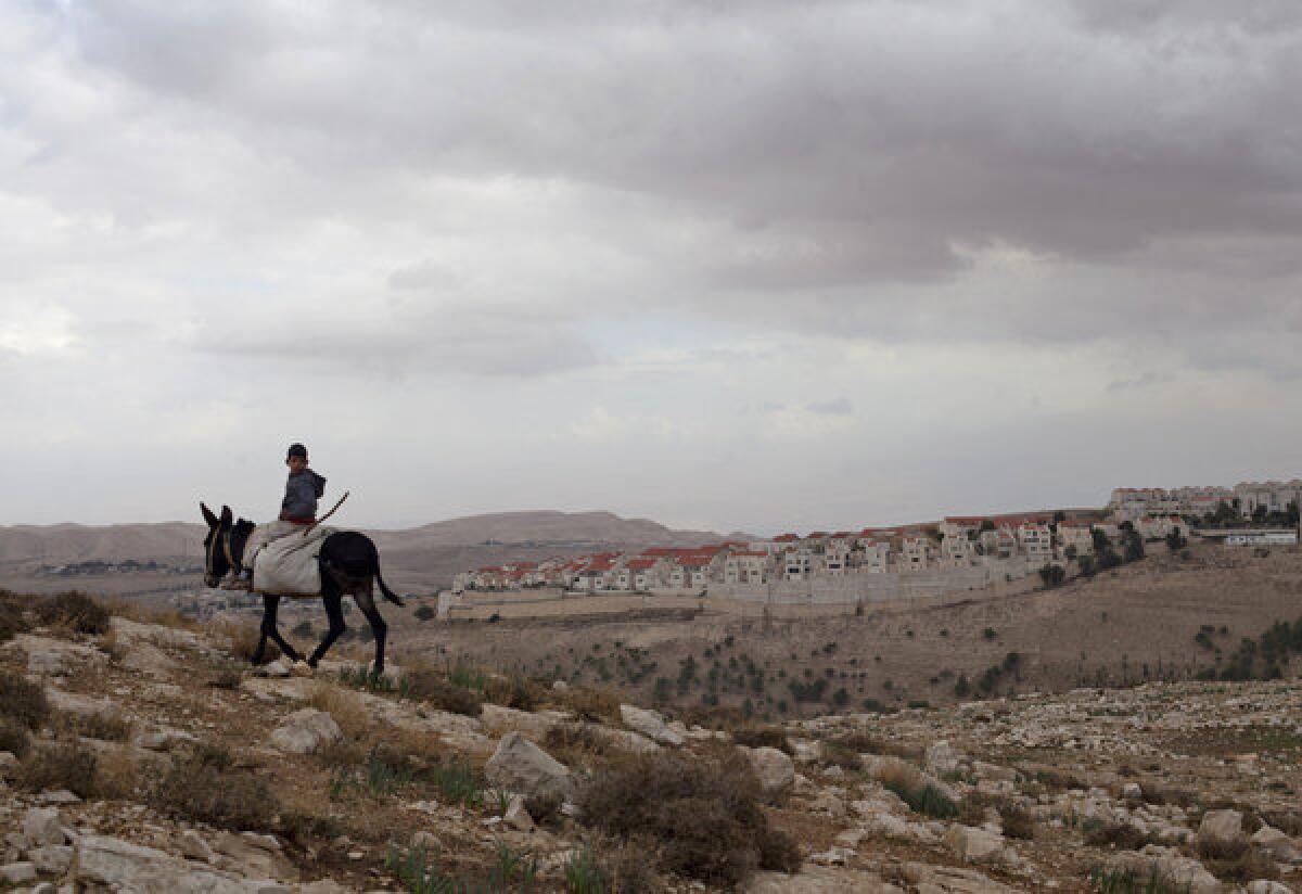 A Palestinian boy rides a donkey Wednesday in the E-1 area near the West bank settlement of Maale Adumim, background, on the eastern outskirts of Jerusalem.