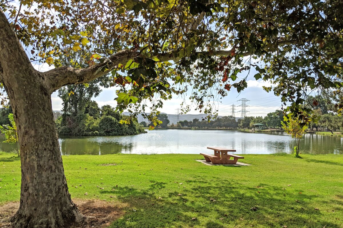 Whittier Narrows Recreation Area bench and lake