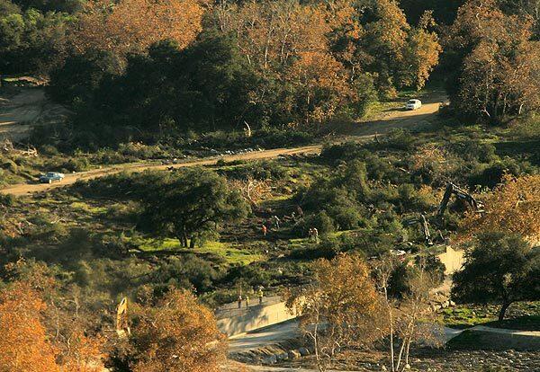 Protest at tree grove