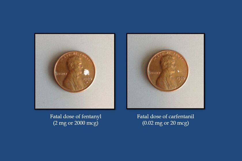 A comparison of the fatal doses of fentanyl, left, and carfentanil from a Department of Justice presentation.