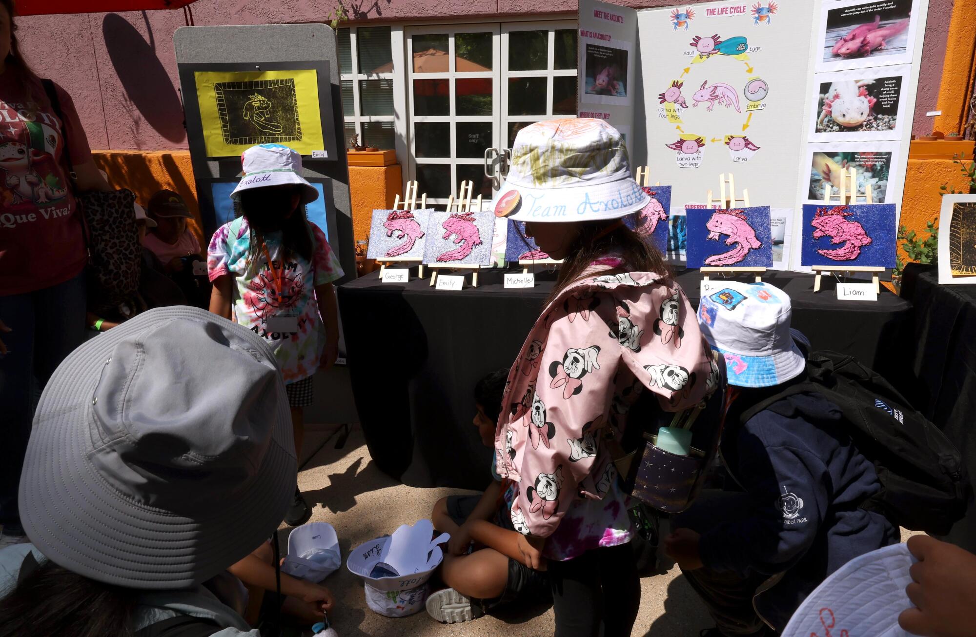 Students share poster boards, drawings and descriptions of an axolotl.