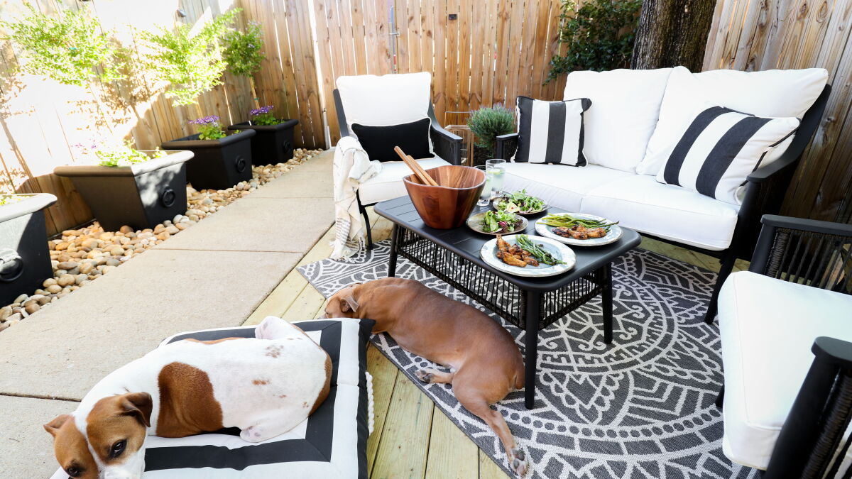 How to turn a small outdoor space into a spot your dog will love - Vimarsana News