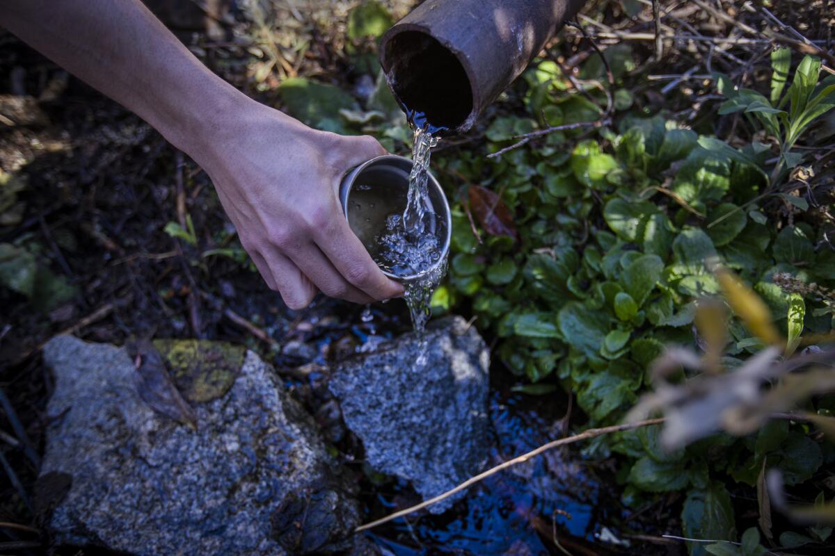 A person fills a cup from water coming out of a pipe in a forest.