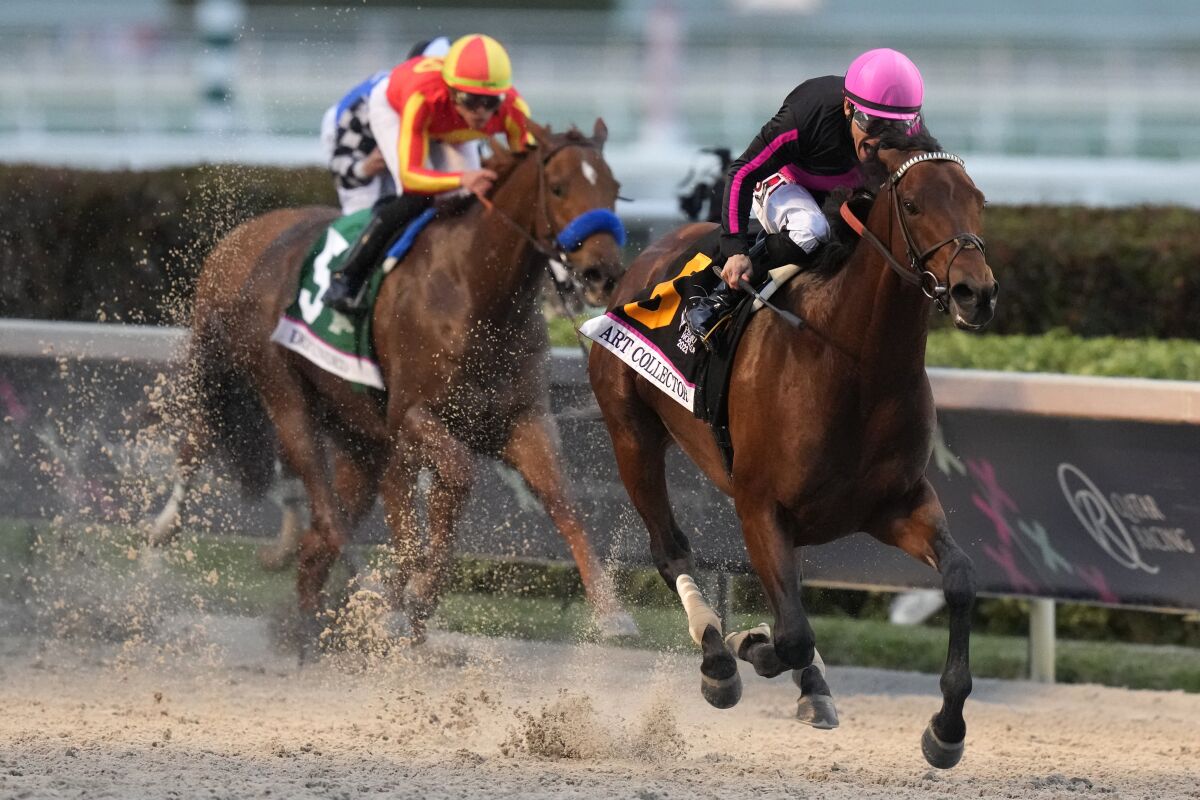Art Collector, ridden by jockey Junior Alvarado, leads the field to win the $3-million Pegasus World Cup.