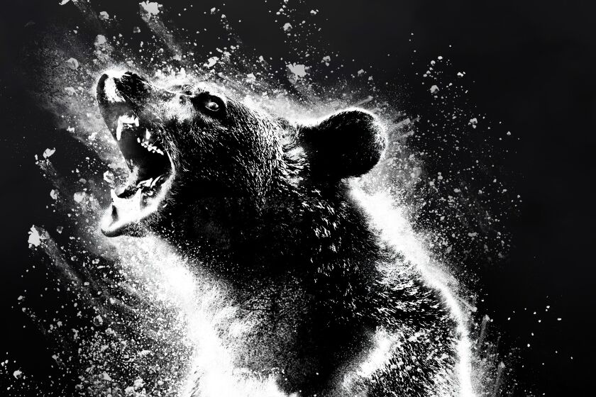 A black-and-white image of a bear roaring and surrounded by cocaine powder