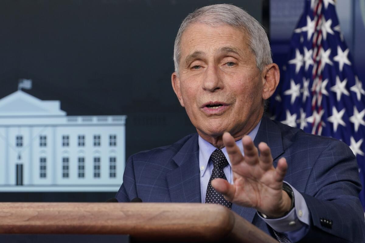 Dr. Anthony Fauci at a White House news conference