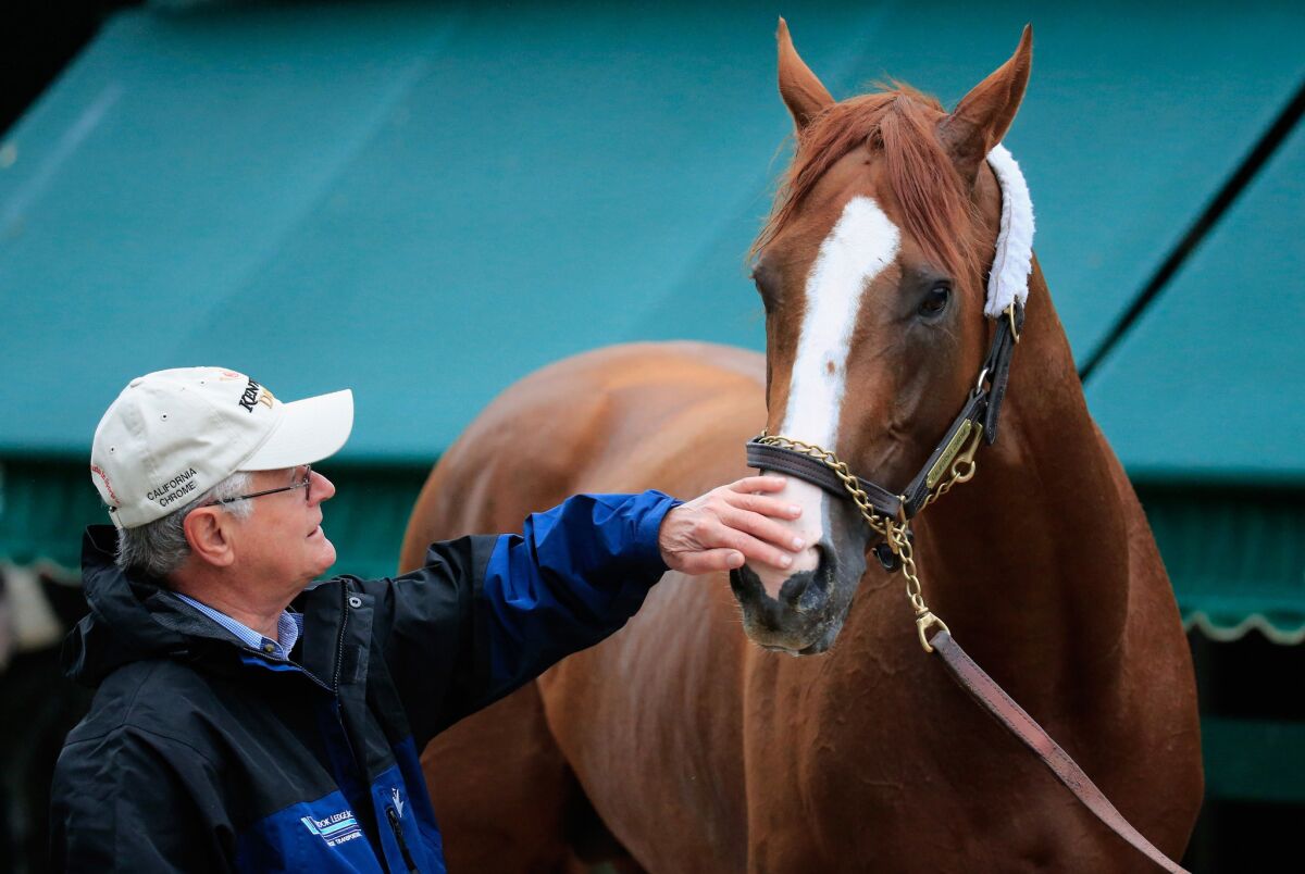 Trainer Art Sherman pets California Chrome during a workout leading up to the 2014 Preakness Stakes, which California Chrome won.