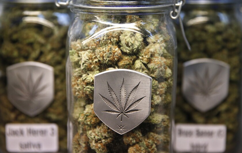Different strains of pot are displayed for sale at a dispensary in Denver.