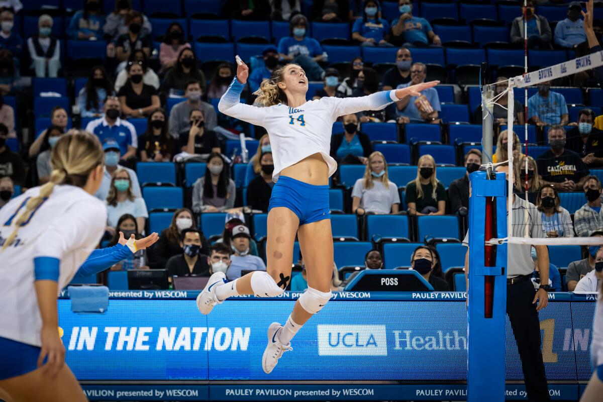 UCLA volleyball player Mac May winds up to strike the ball during a match at Pauley Pavilion.