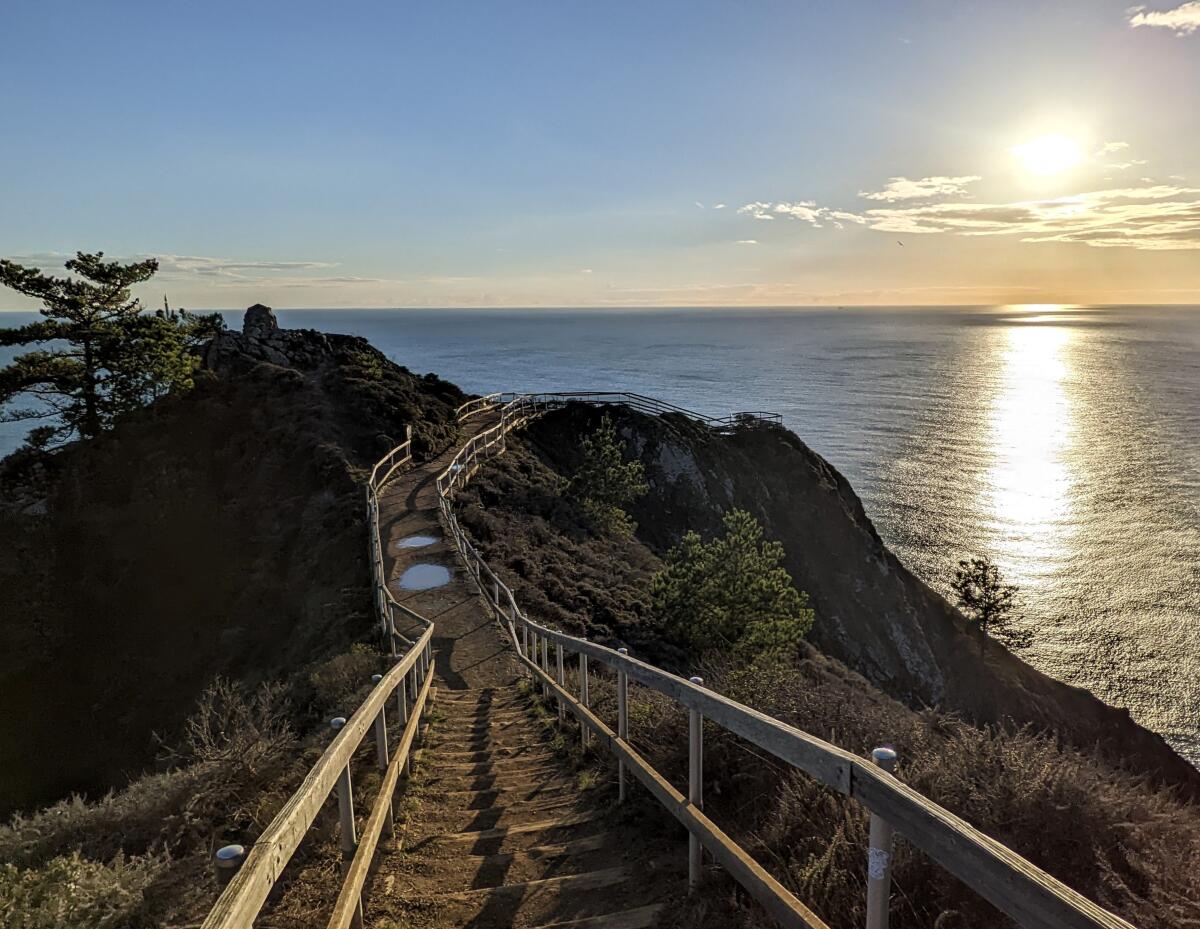 A path on a cliff is near the ocean.