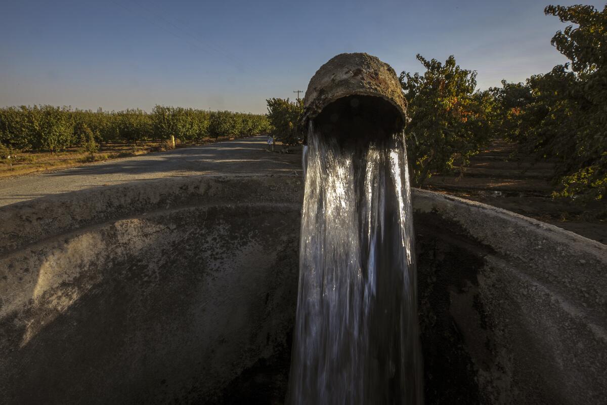 Water flows from an underground well to irrigate an orchard in Visalia in 2021. 