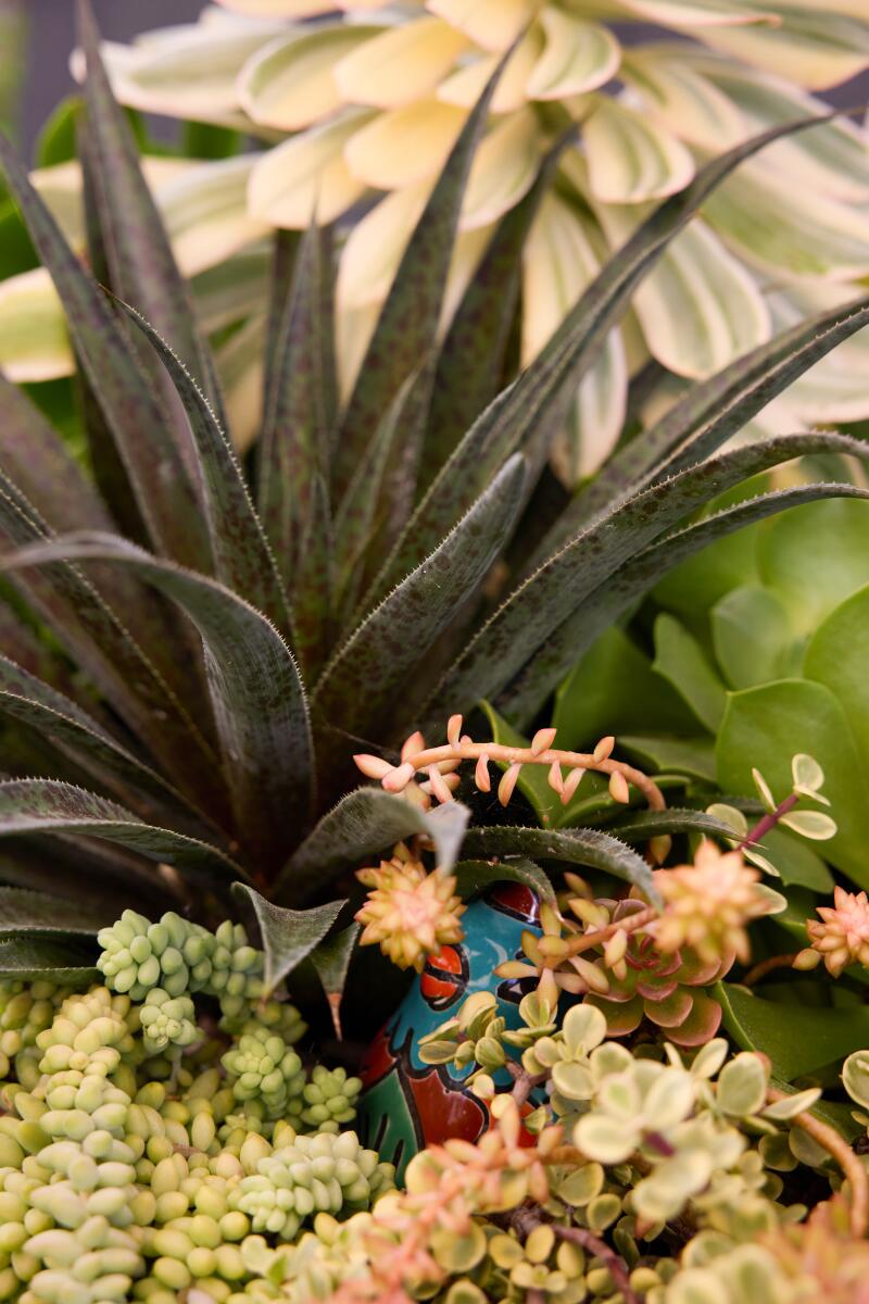 Details of succulents, with a colorful statue of a bird peeking through the greenery.