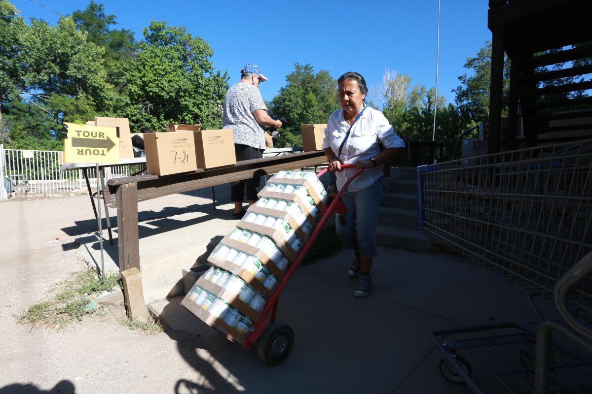 A woman pushes a dolly full of canned food.