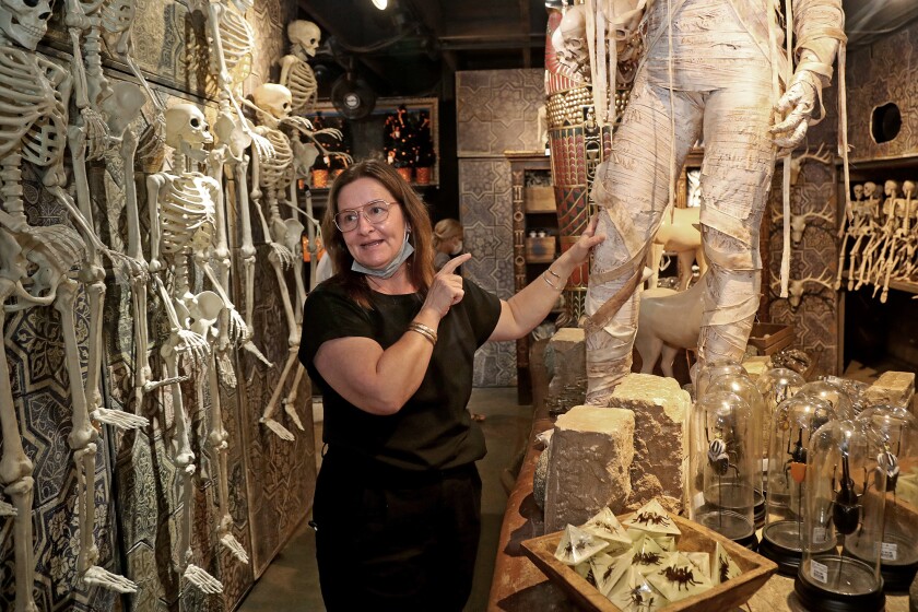 Chief merchant Hedda Staines on a Thursday guided tour of "Cabinet of curiosities."