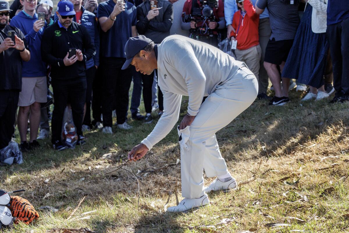 Tiger Woods removes twigs near his ball in the rough after shanking his fairway shot on the 18th hole.