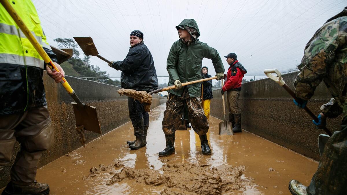 Volunteers in February help shovel muddy sediment that built up in the salmon raceway near Oroville Dam. Although about 5 million of the salmon fry were saved, later about 250,000 died after a pump at a hatchery failed.