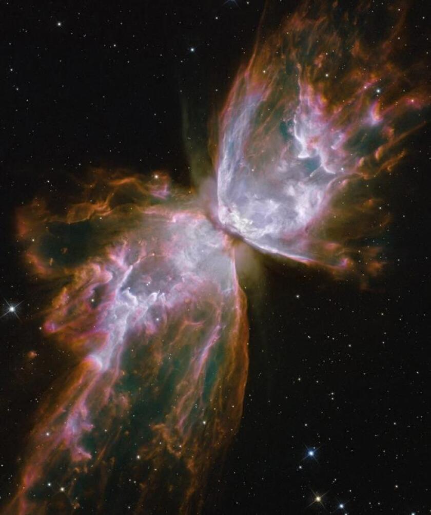 La NASA afirma que la nebulosa Mariposa es "cuna de cientos de estrella  bebé" - Hoy Los Ángeles